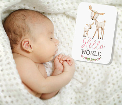 Woodland Friends (Pink) Baby Milestone Cards